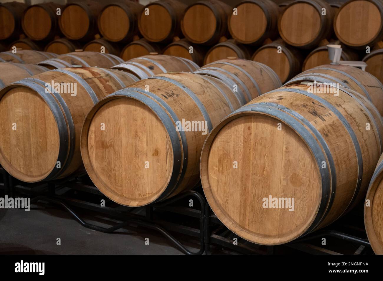 Rows of french and american oak barrels with red dry wine in cellars of