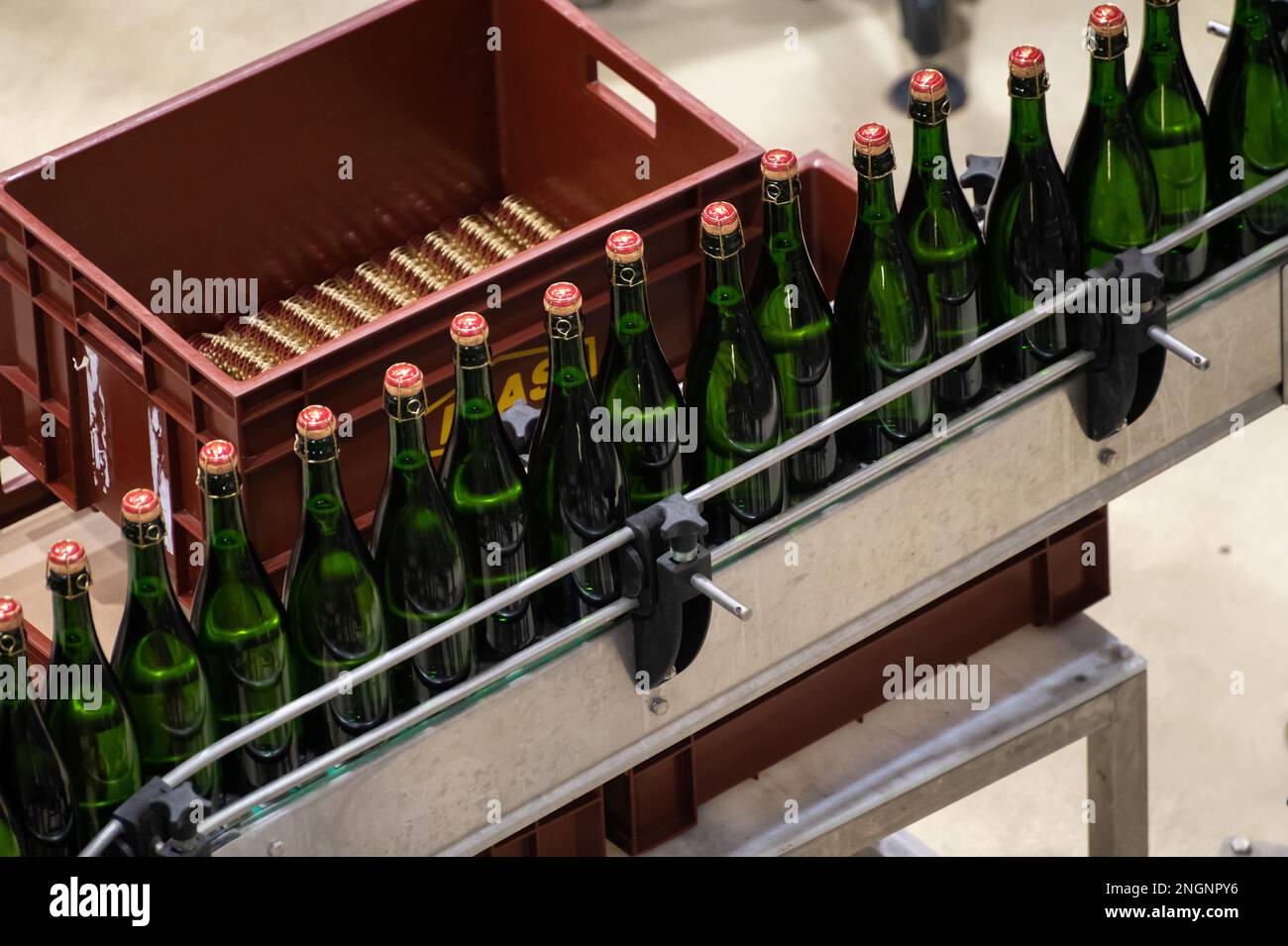 Production of cremant sparkling wine in Burgundy, France. Automatically