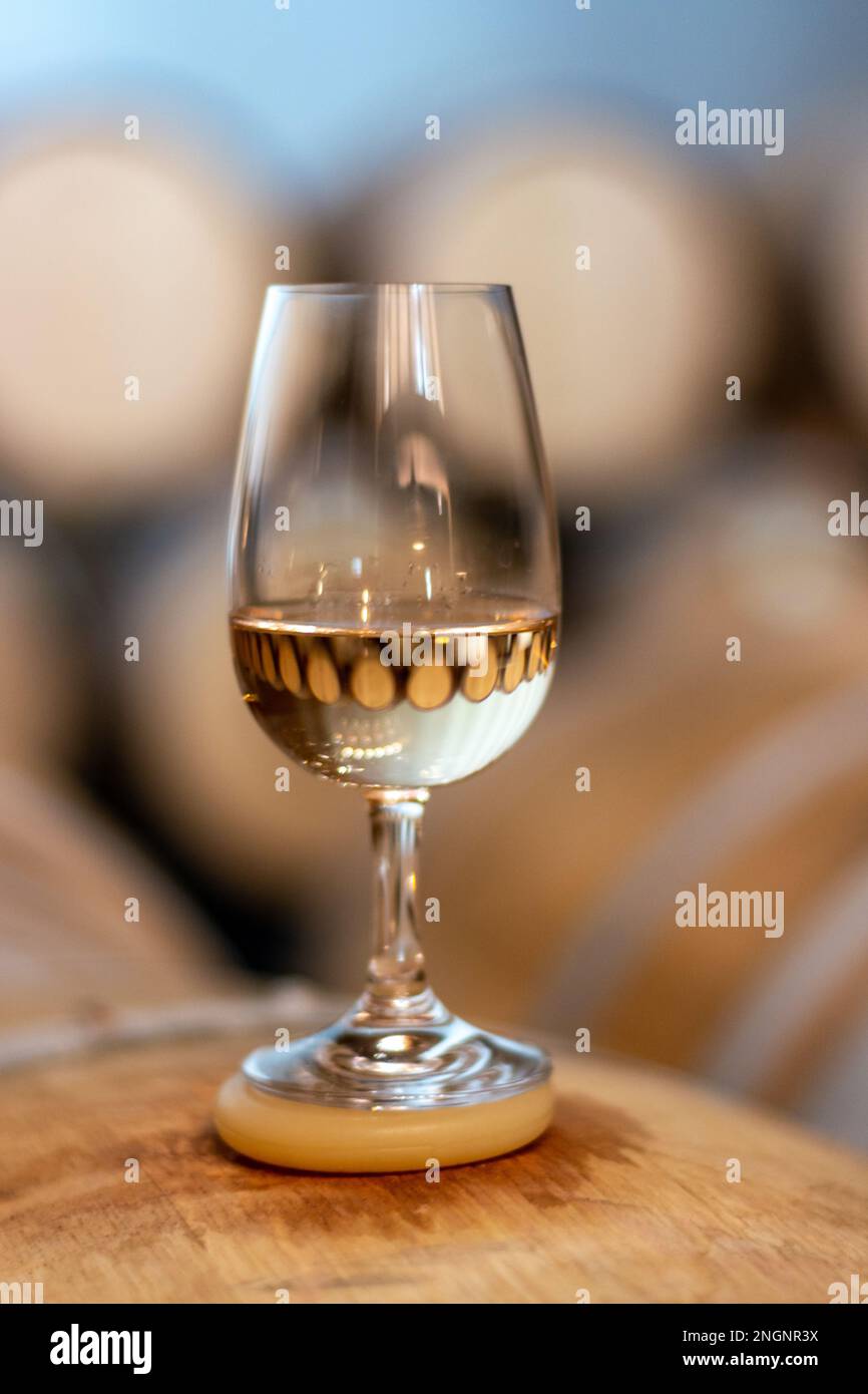 Tasting of variety of rioja wines, visit of winery cellars with french ...