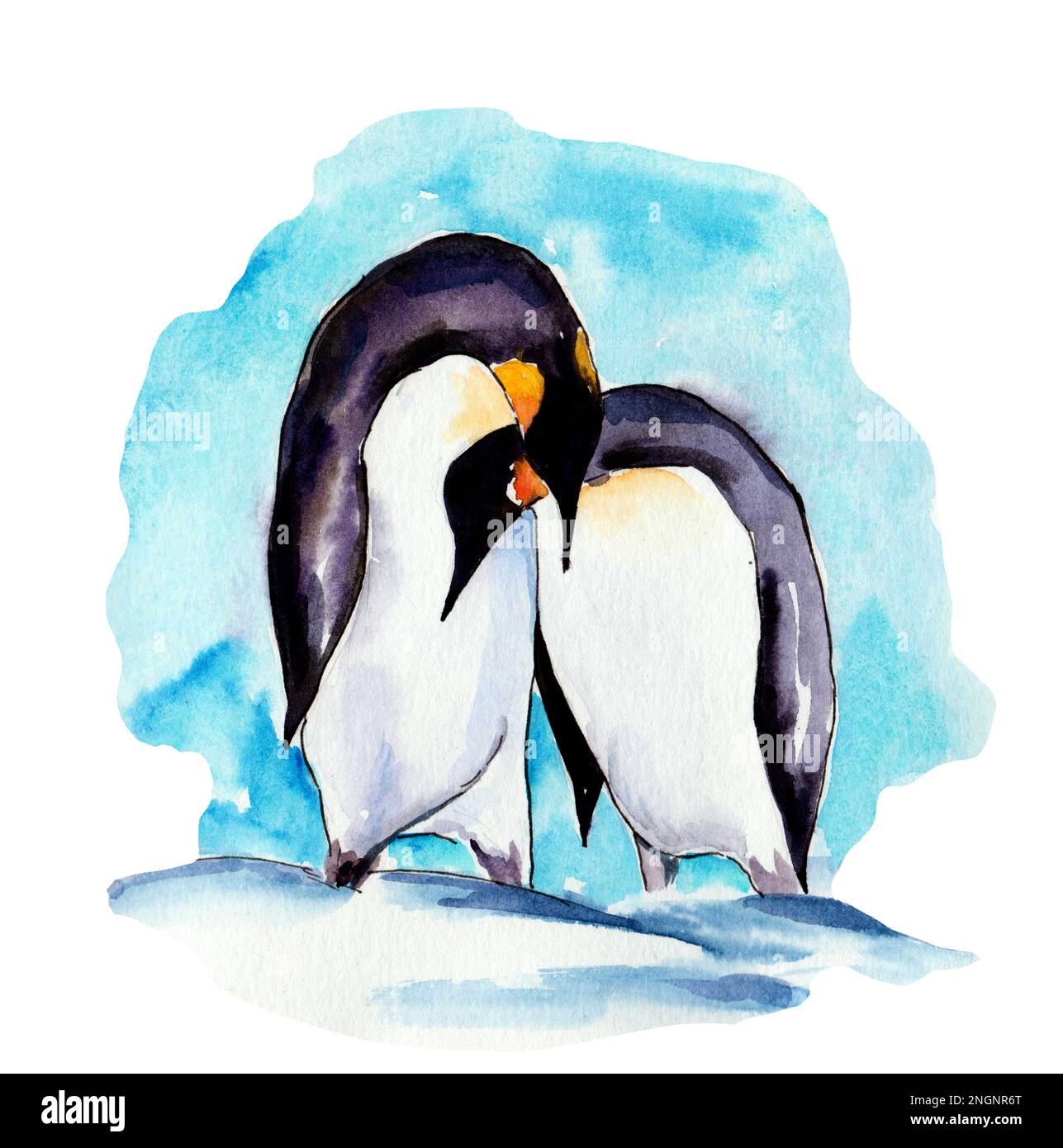 watercolor drawing of loving penguins on a white background Stock Photo