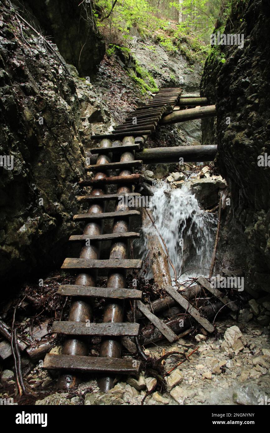 Dangerous trail through a waterfall with wooden ladders in the Slovak ...