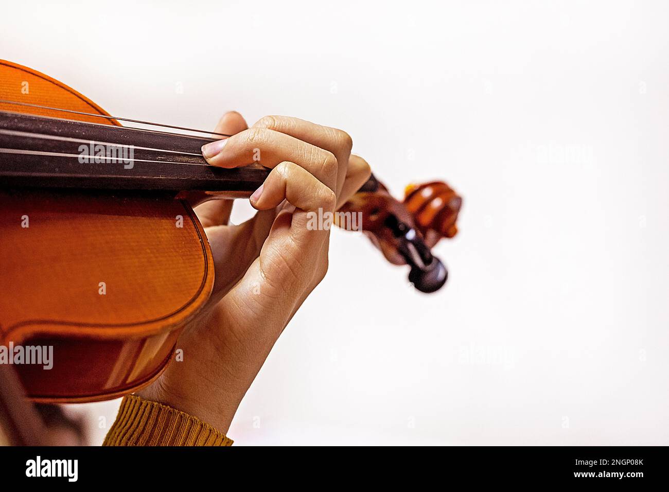 left hand of a young violinist on the strings on a student's violin on a light background