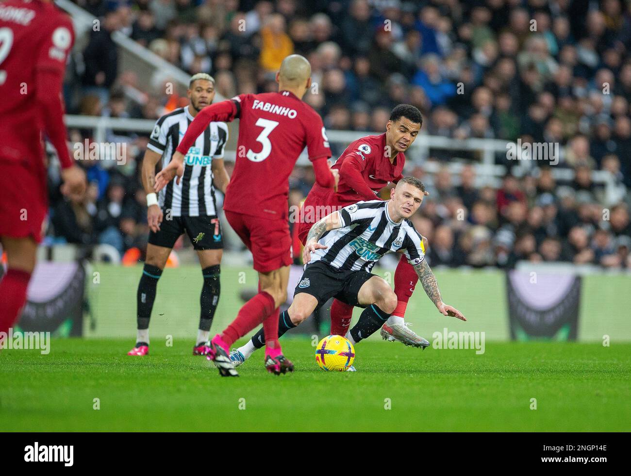 Newcastle, UK. 18th February 2023; St James' Park, Newcastle, England