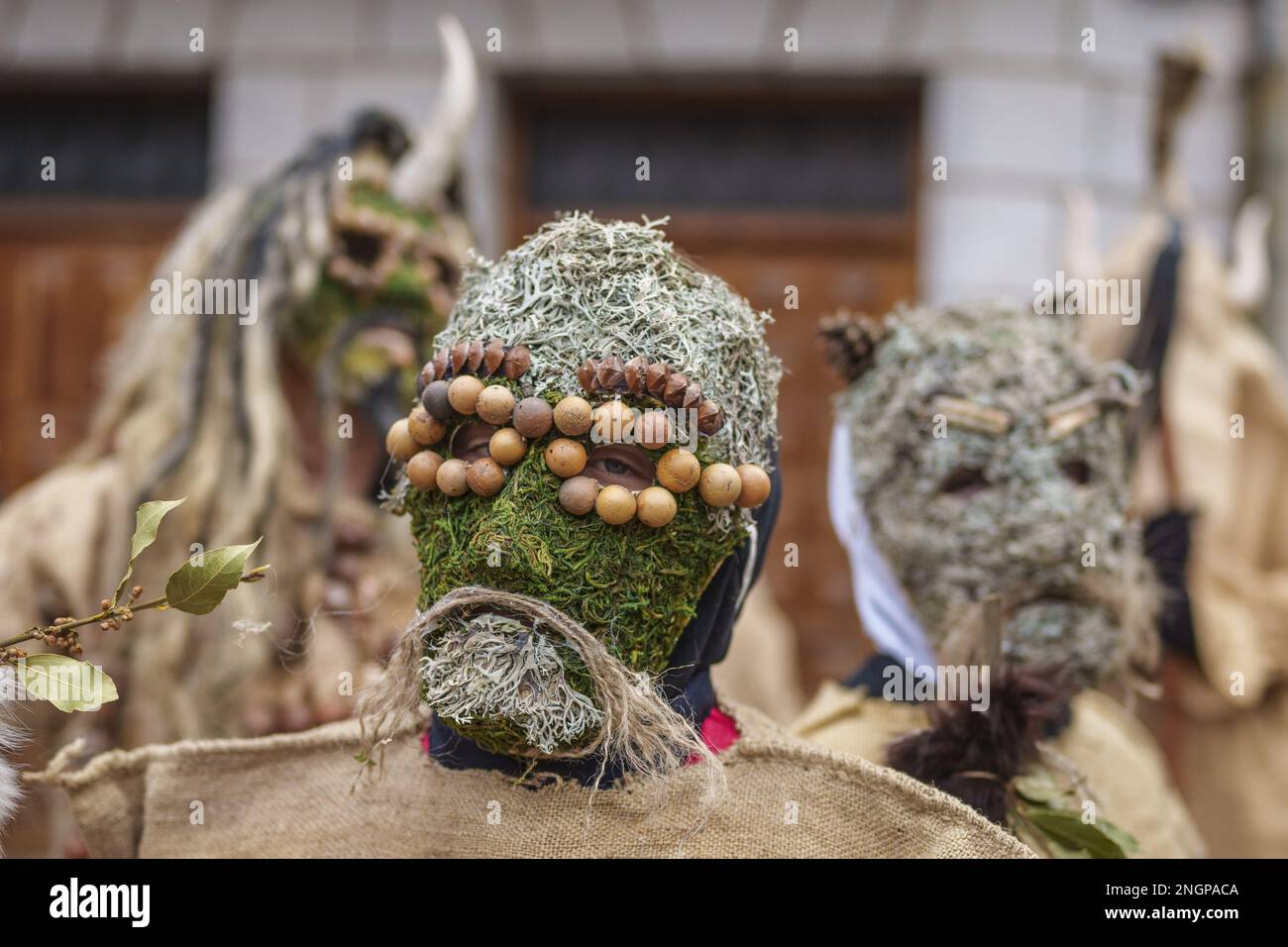 Navalacruz, Spain. 18th Feb, 2023. A carnival reveller dressed as a traditional 'Harramacho' wearing grass and other agricultural decor takes part in a carnival festival in the village of Navalacruz, Spain, on Saturday, February 18, 2023. The 'Herramacho' figures, whose costumes are made from natural materials collected from the surrounding environment, were believed to protect family and cattle in pre-Roman rituals. Photo by Paul Hanna/UPI Credit: UPI/Alamy Live News Stock Photo