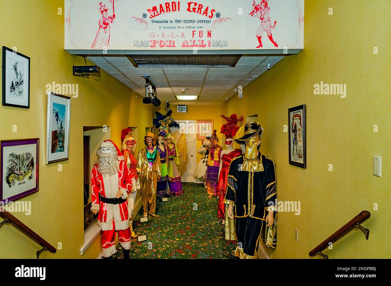 mardi gras costume museum