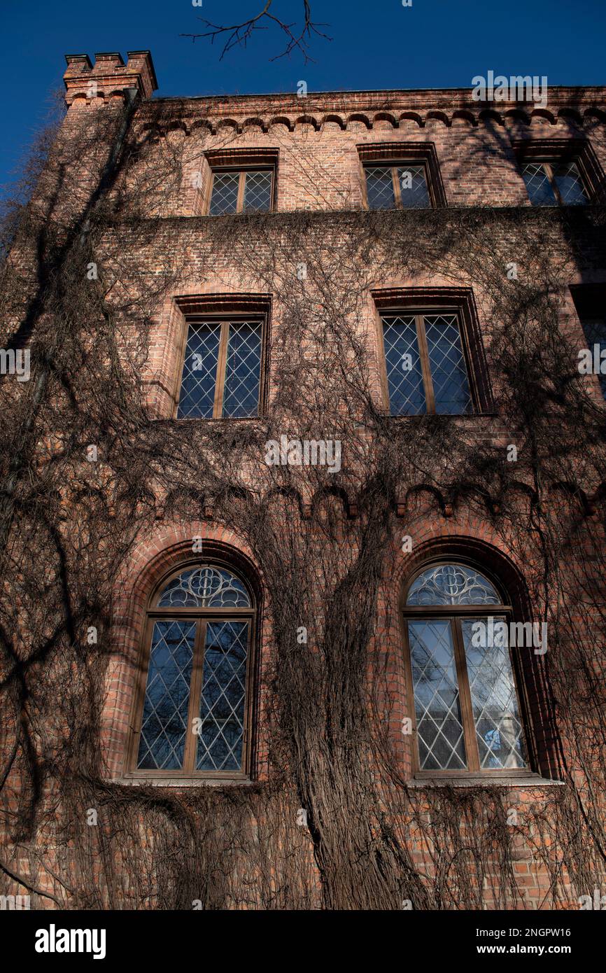 Kungshuset, King's House, covered in vines, Lund University, Lund