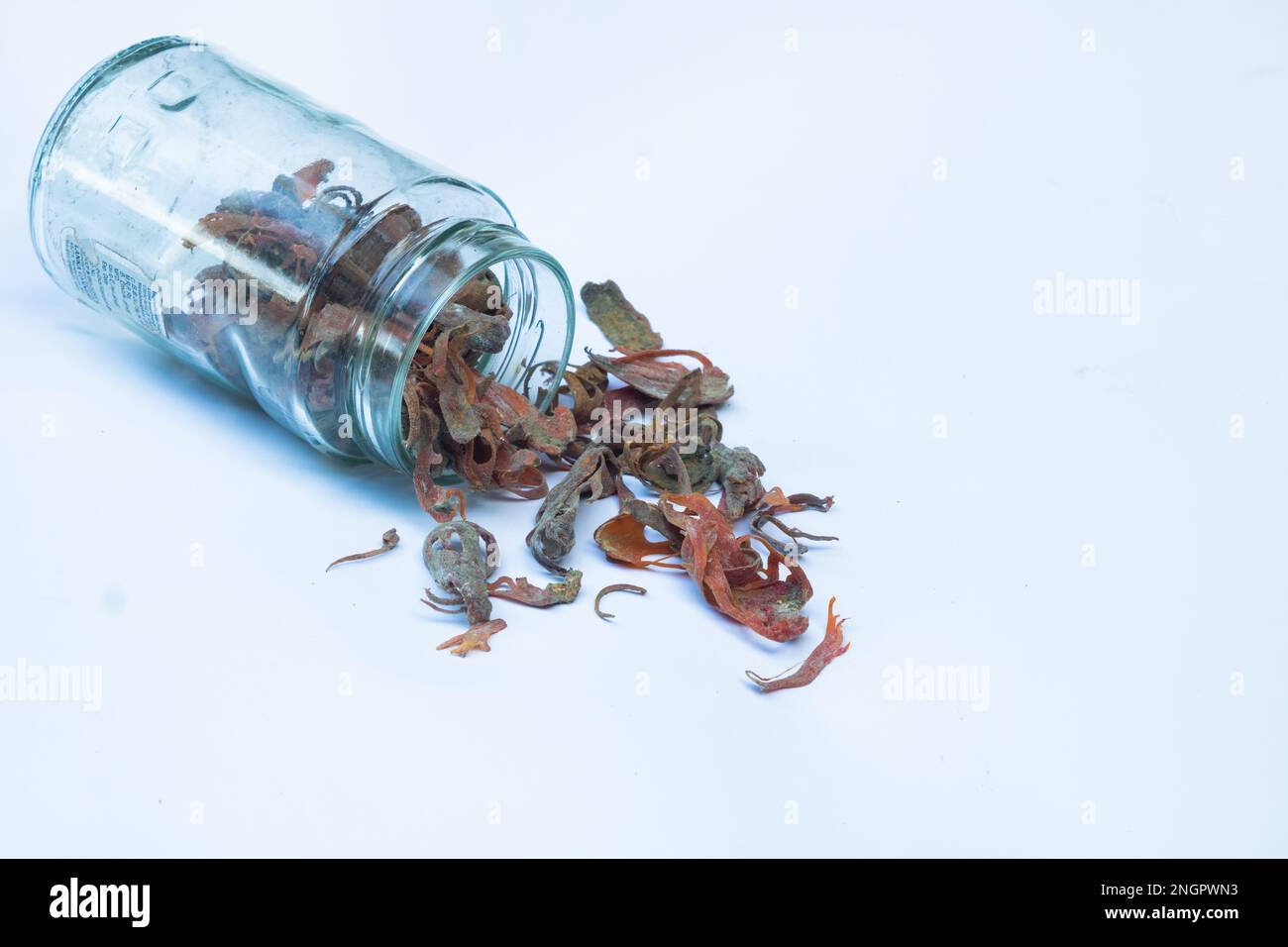 ceylon organic dried nutmeg mace (myristicafragrans). It is important