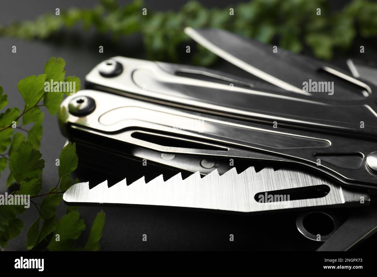 https://c8.alamy.com/comp/2NGPX73/compact-portable-metallic-multitool-and-green-leaves-on-black-background-closeup-2NGPX73.jpg