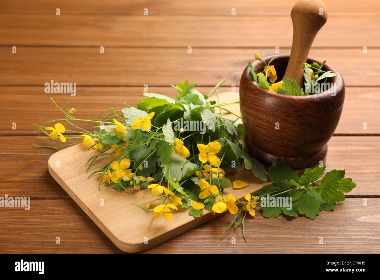 Celandine with board, mortar and pestle on wooden table Stock Photo