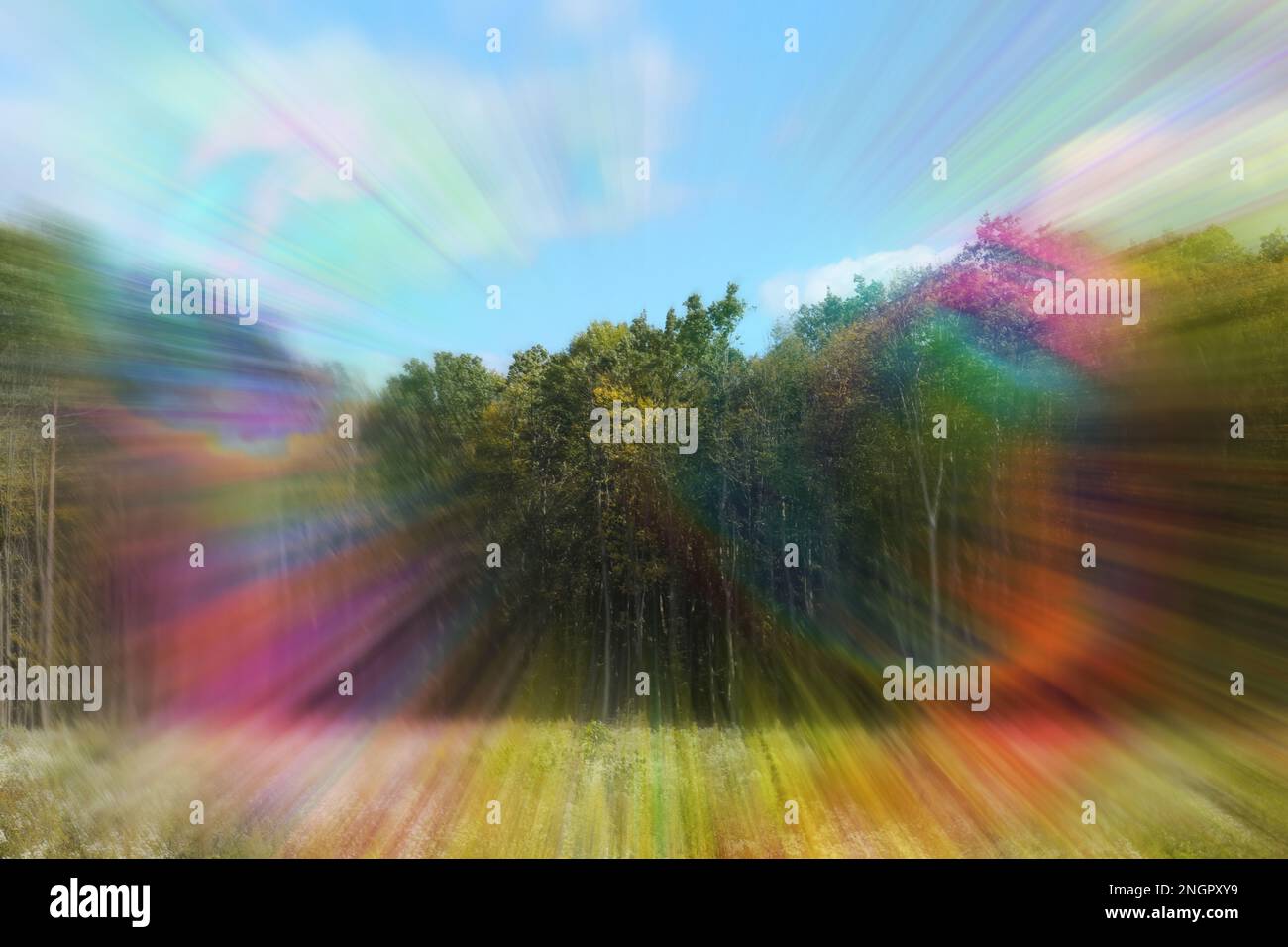 View of forest and flashing lights effect. Migraine aura, symptom of