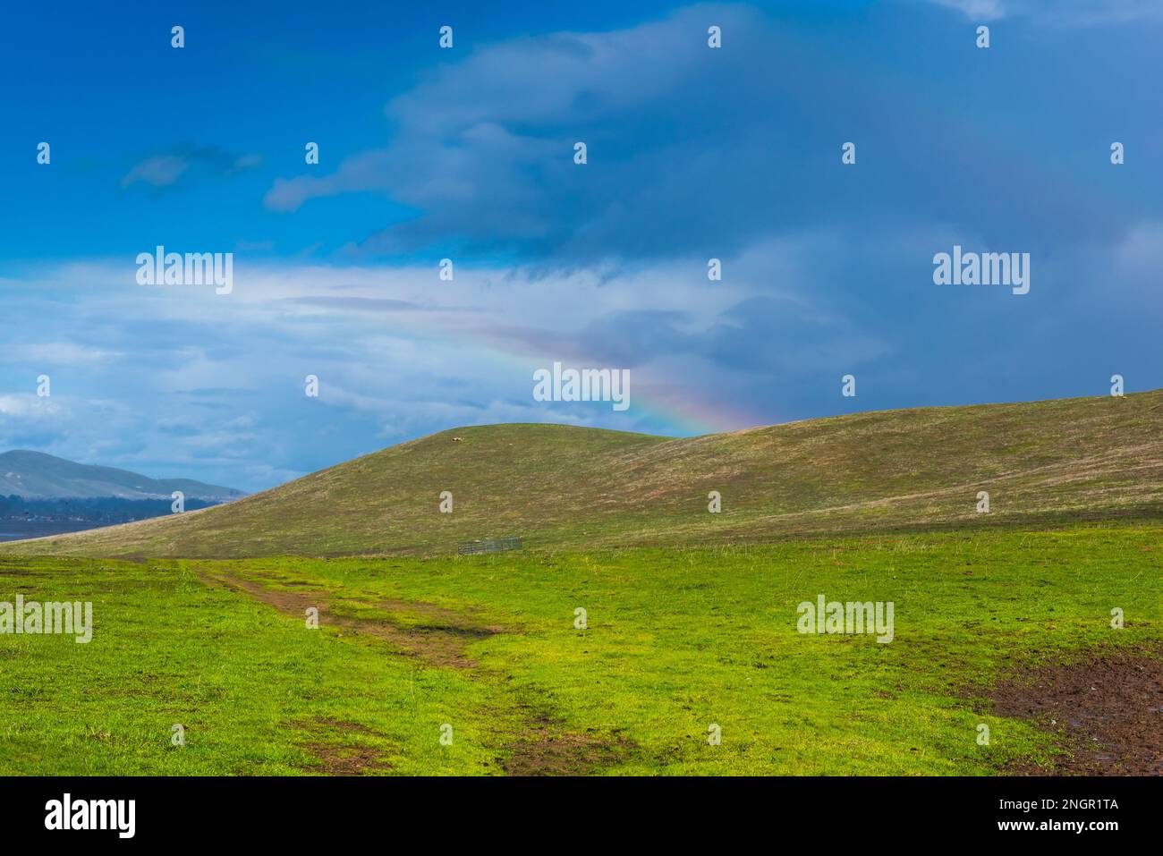 Rush ranch solano county (91) foto