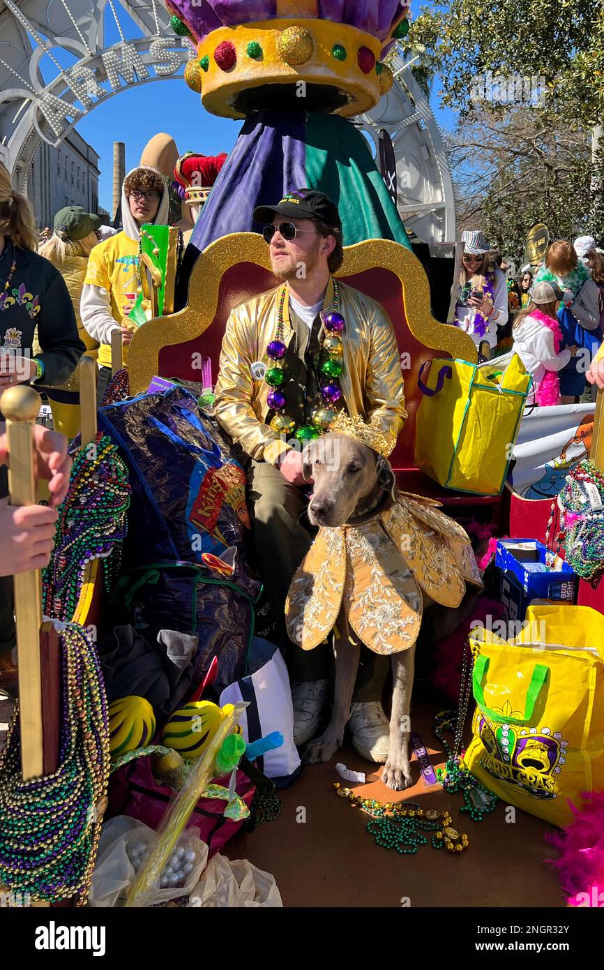 Dogs and their owners are seen at the Krewe Of Barkus parade on Sunday