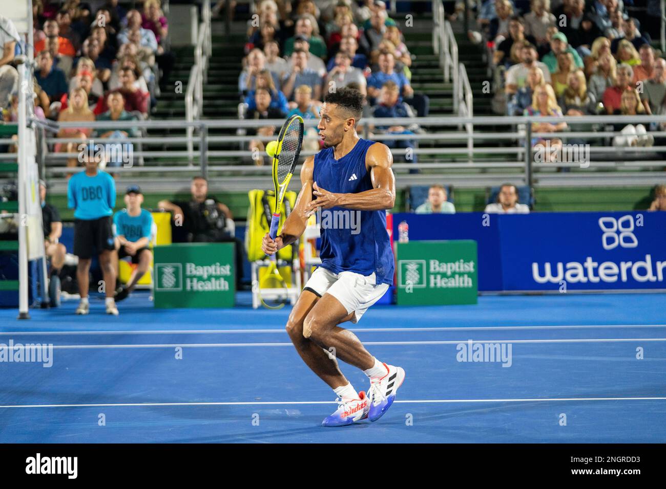 February, 17 Delray Beach Michael Mmoh(USA) loses in the Quarter