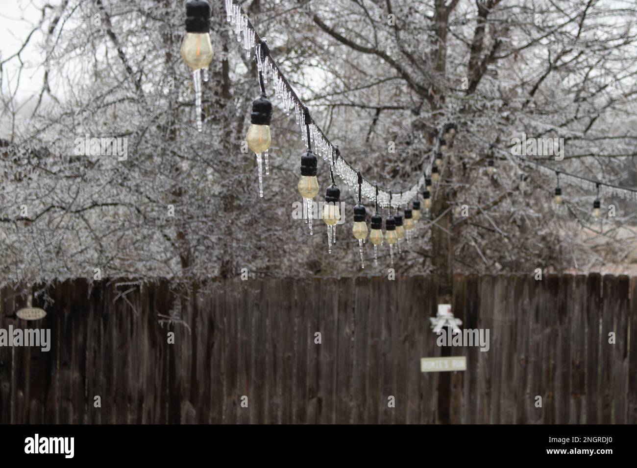 Closeup of icicles on patio party lights with ice covering the tree in the background.  Winter storm in Austin TX Stock Photo