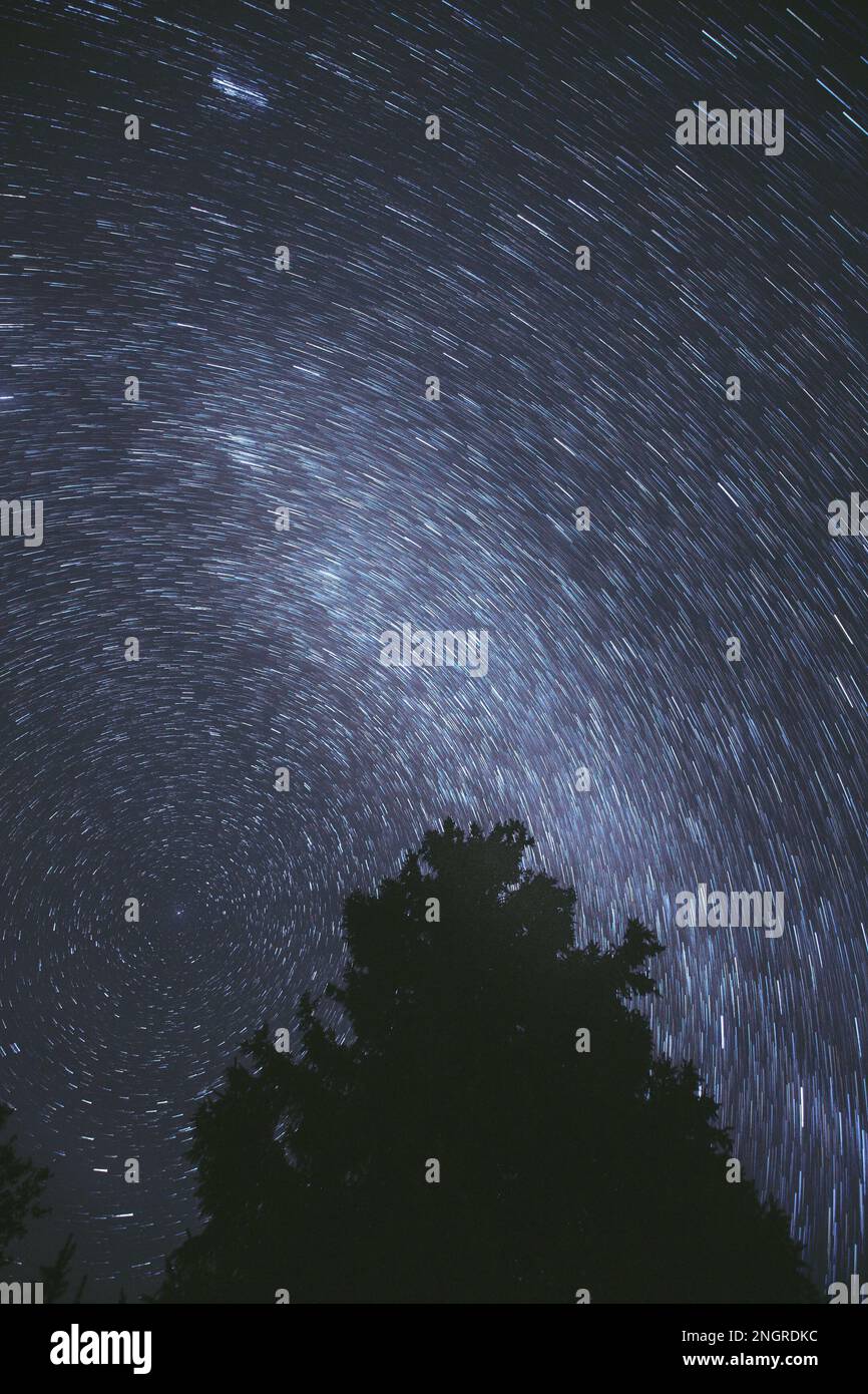 Unusual Amazing Star Trails On Night Sky Background. Spin Of Stars ...