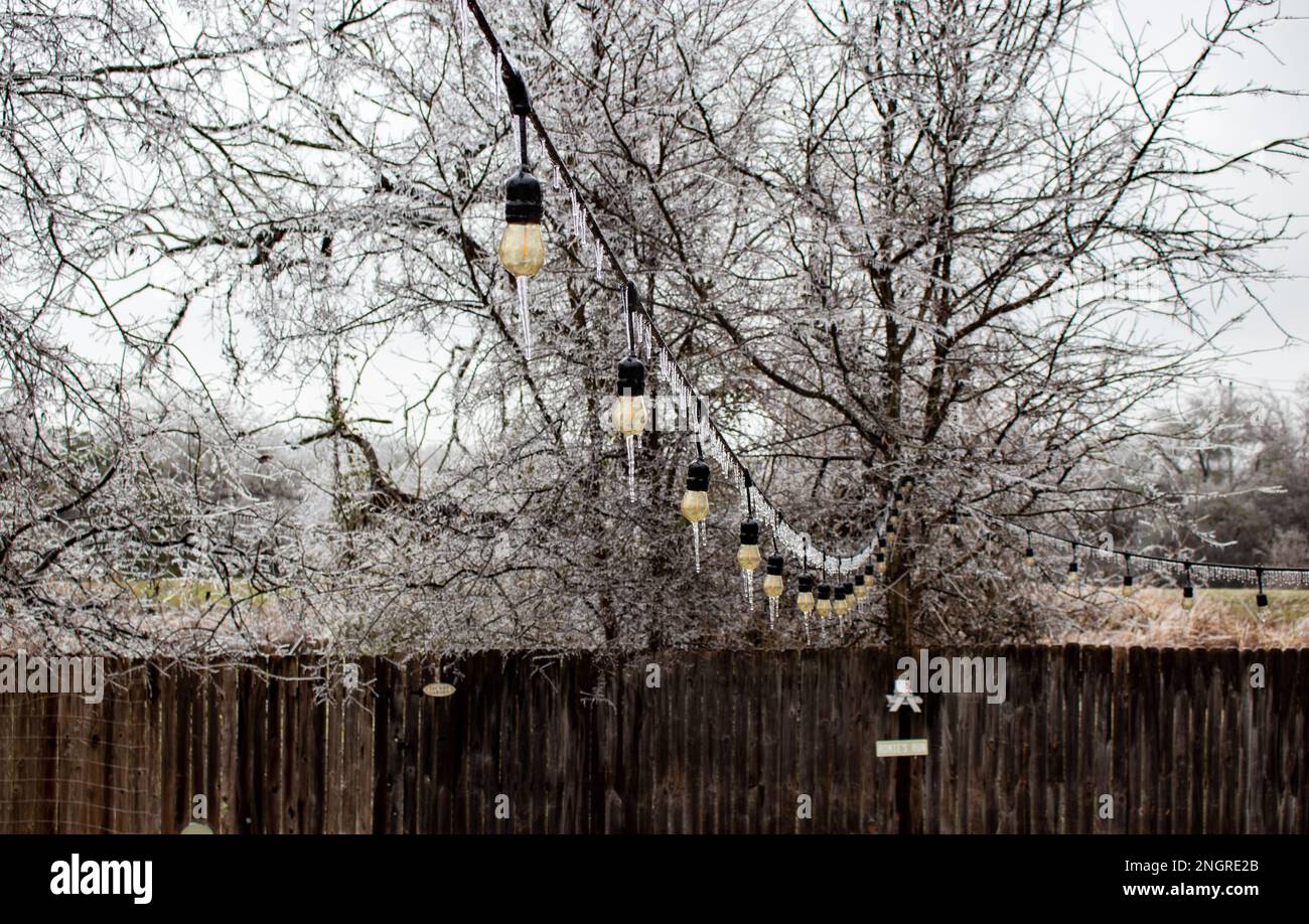 Icicles hang from frozen outdoor patio lights in a backyard garden in Austin Texas Stock Photo