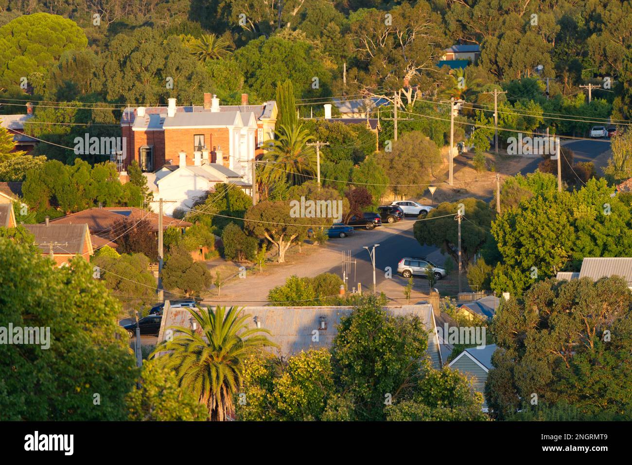 Urban houses in a street showing trees, parked cars and country homes
