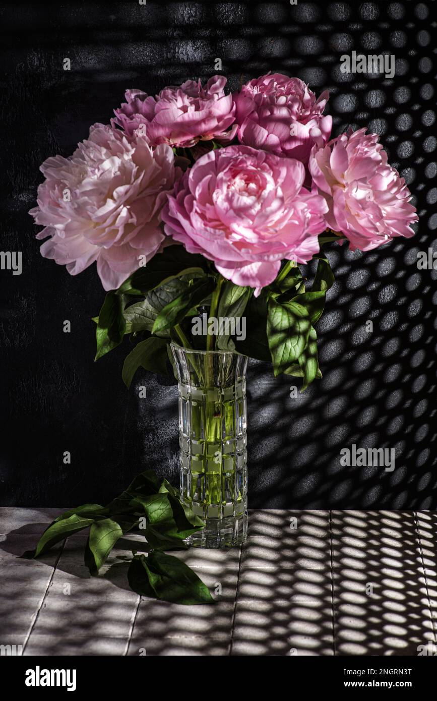 peonies in a vase on a dark background. High quality photo Stock Photo ...