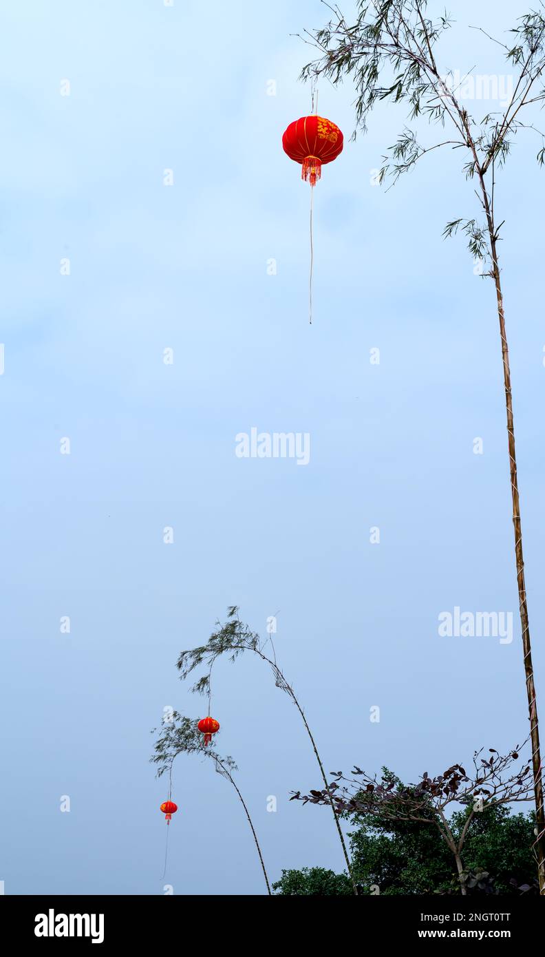 Red Chinese lanterns hanging on a bamboo tree against a blue sky ...