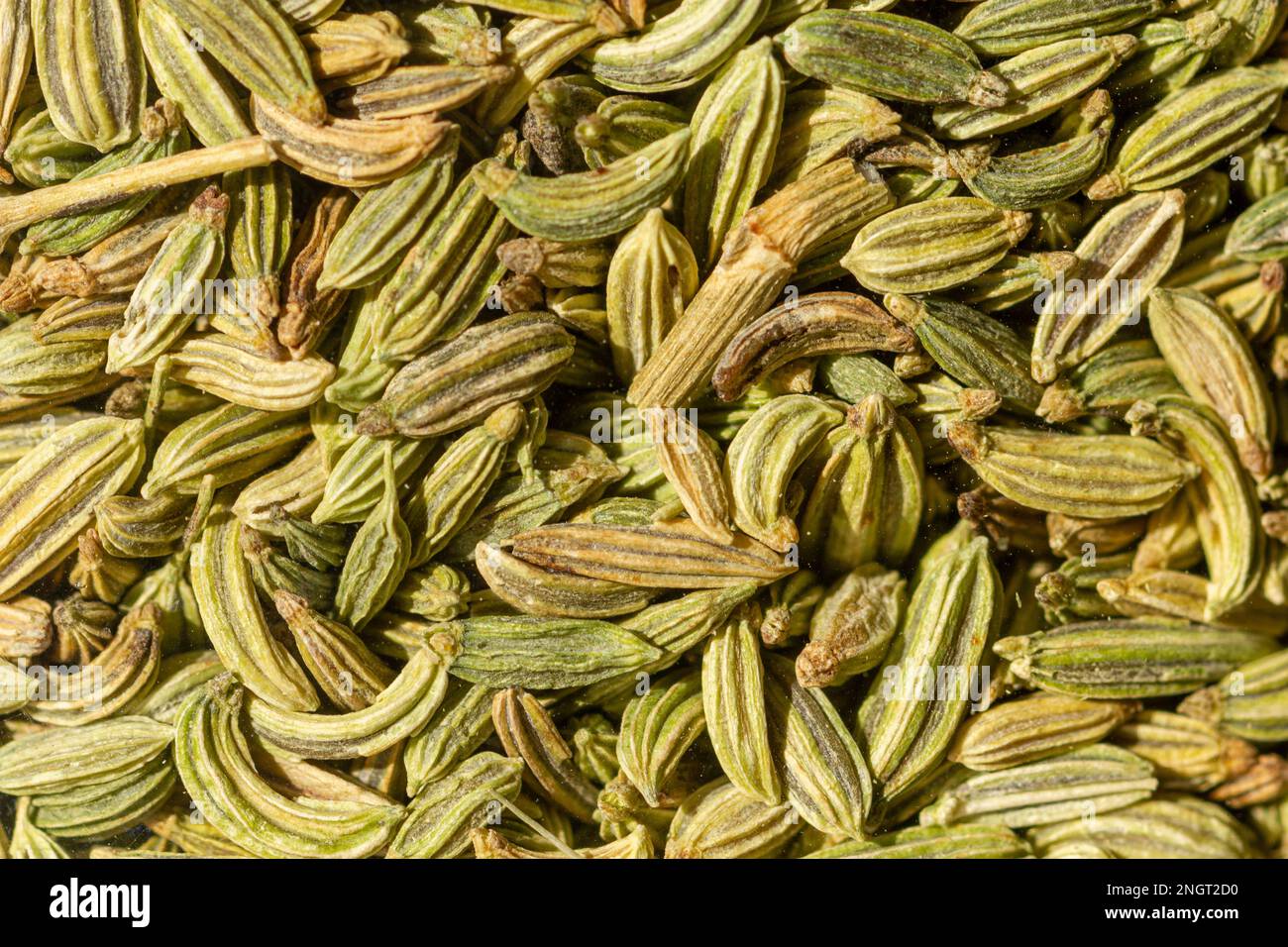 macro photo of fennel seeds Stock Photo Alamy