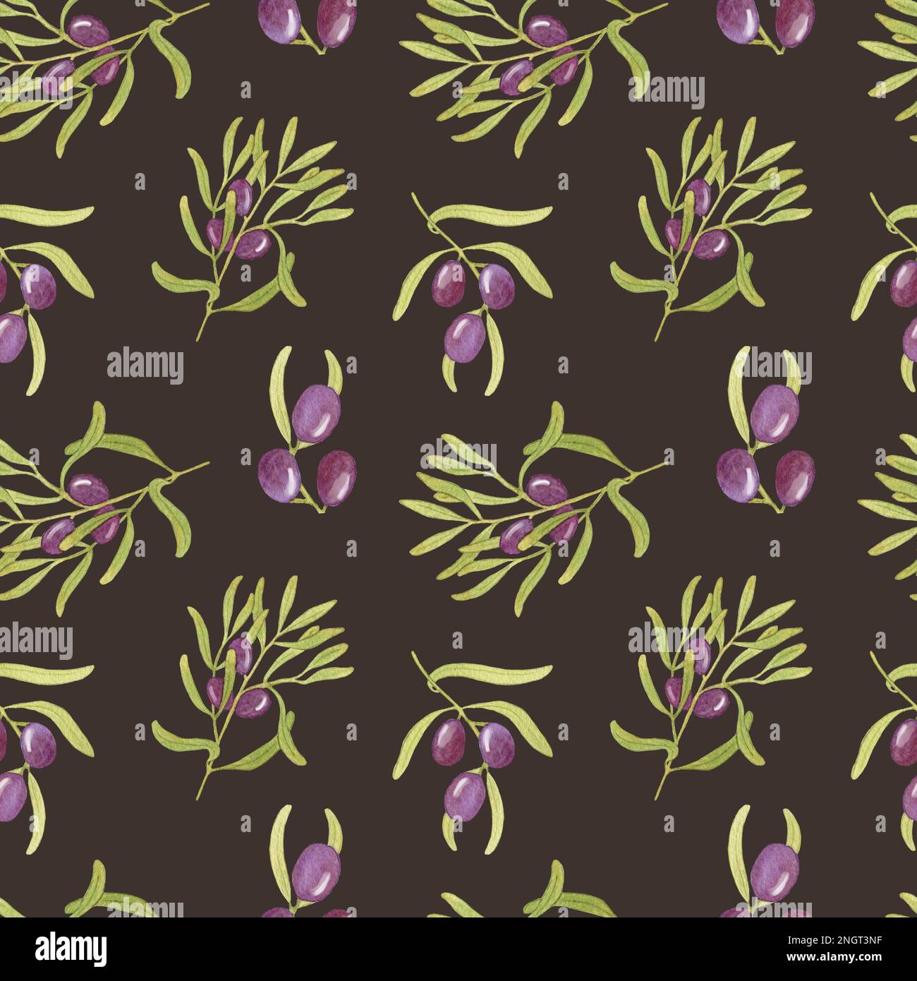 Watercolor seamless pattern with black olives Tree branches on a dark ...