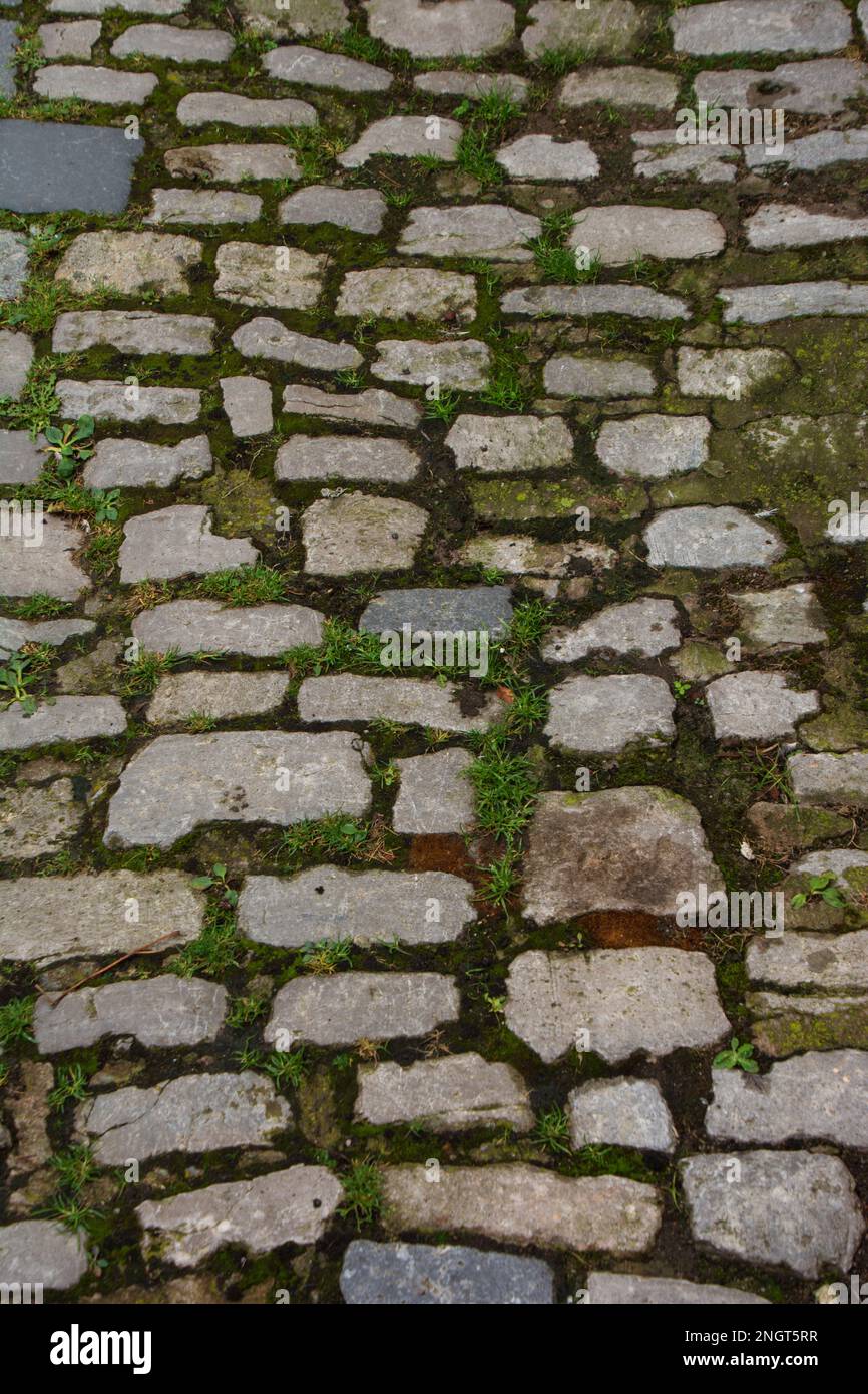 vintage stone texture footpath with green grass Stock Photo