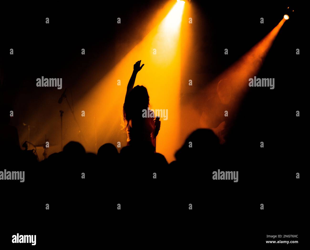 Concert performance of a rock band with female lead singer Stock Photo
