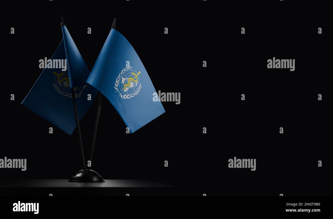 Small national flags of the World Health Organization WHO on a black ...