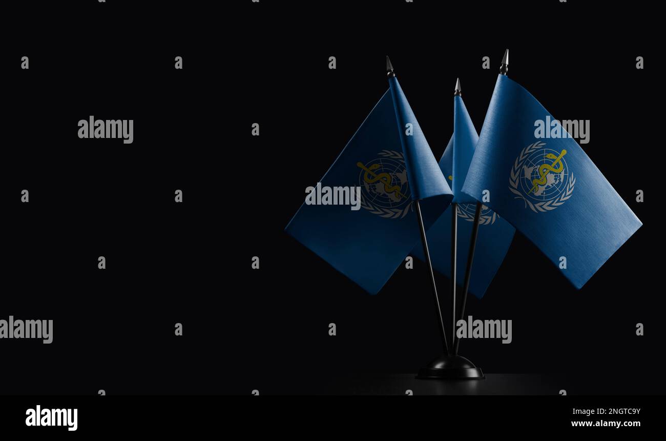 Small national flags of the World Health Organization WHO on a black ...
