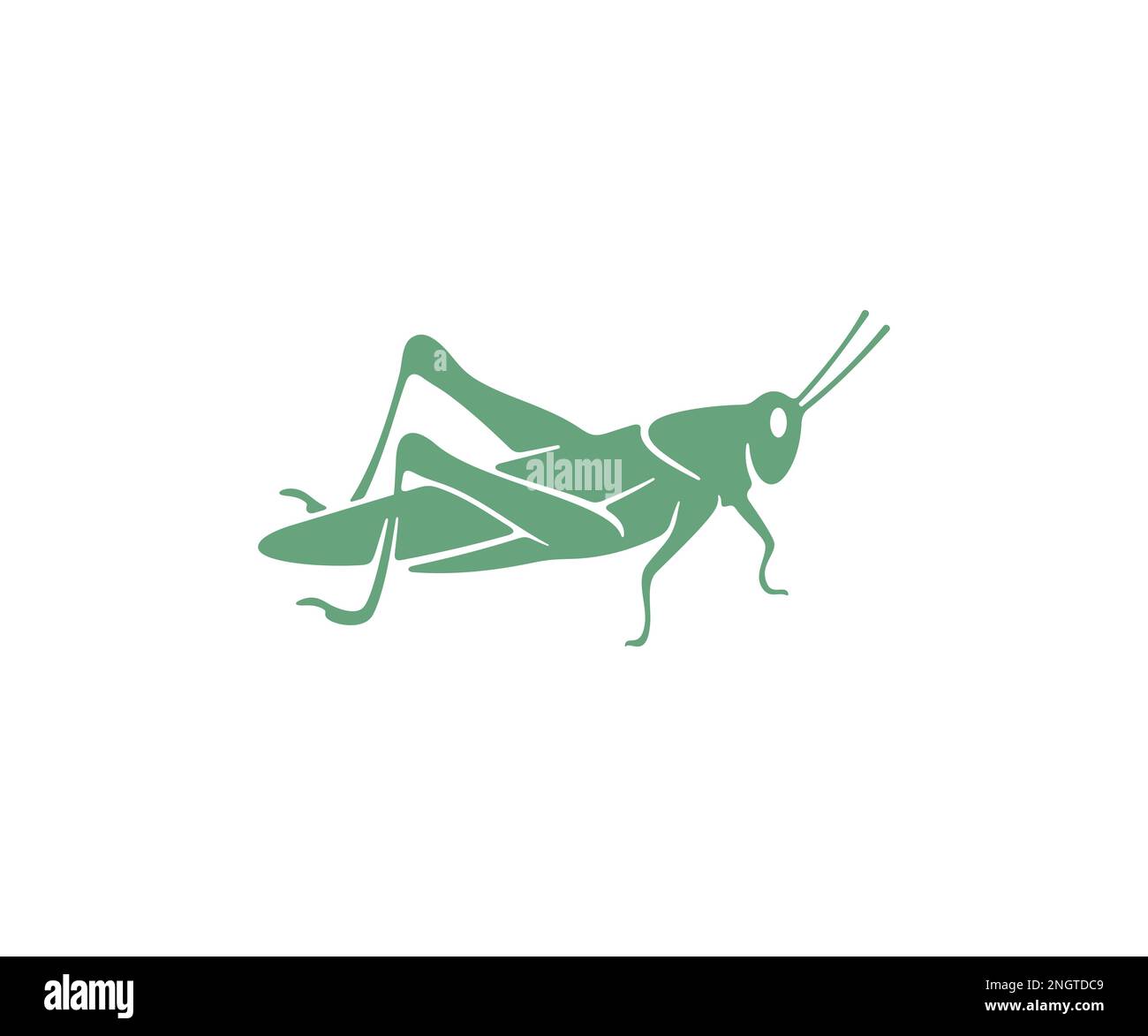 Grasshopper, locust, insect, nature, animal and pests, silhouette and graphic design. Wildlife, fauna, bug, vermin, orthoptera and arthropoda, vector Stock Vector
