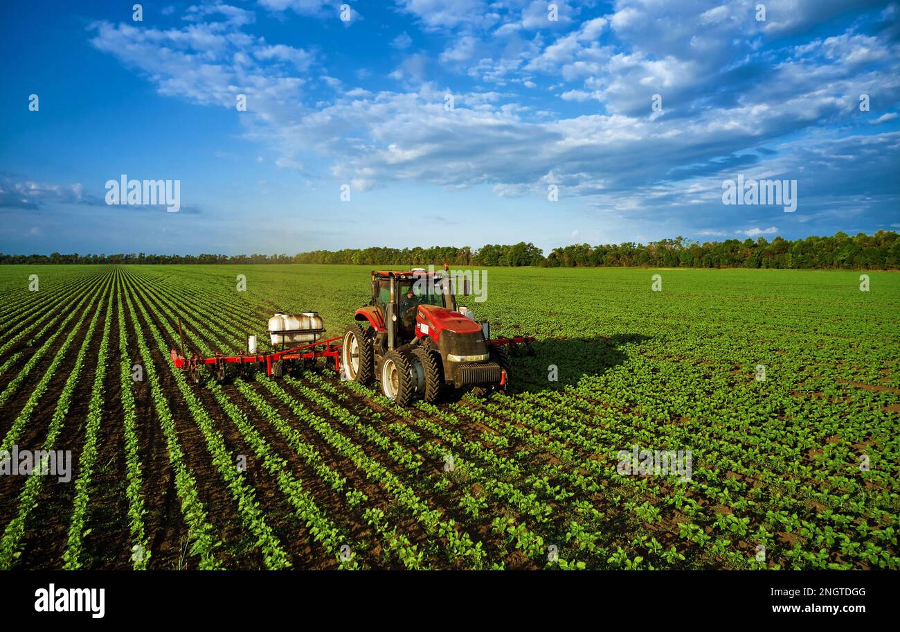 Tractor sprays the field with chemicals to protect the plants