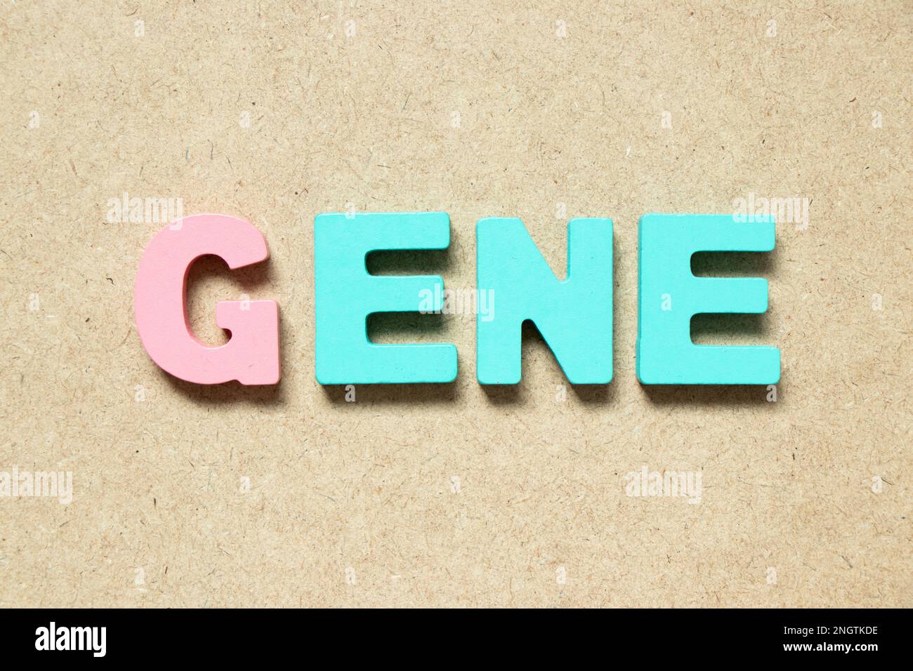 color-alphabet-letter-in-word-gene-on-wood-background-stock-photo-alamy