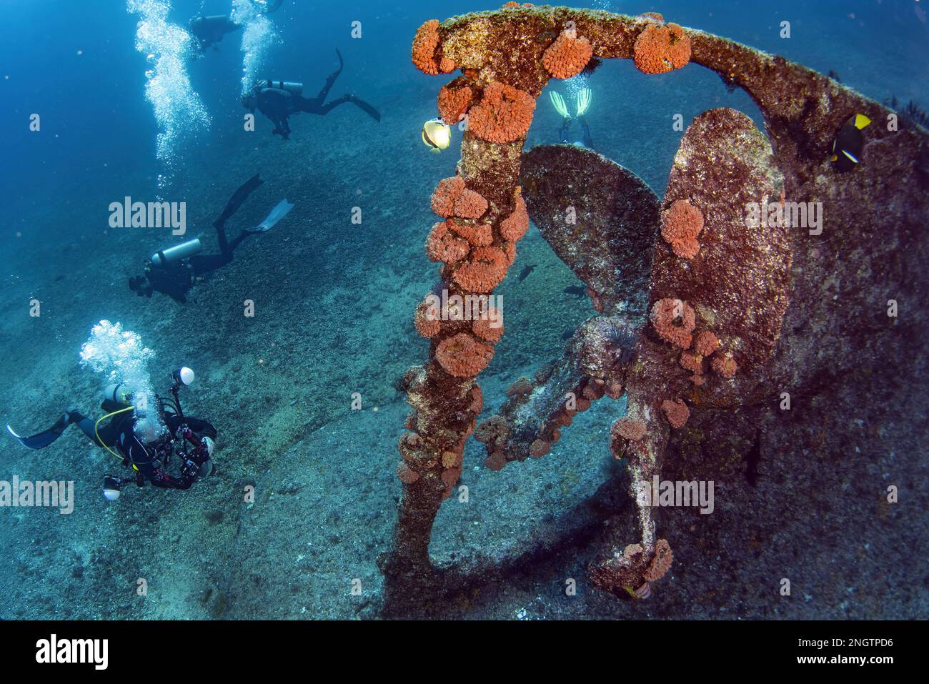 Scuba divers exploring propeller of sunken shipwreck in cortez sea Stock Photo