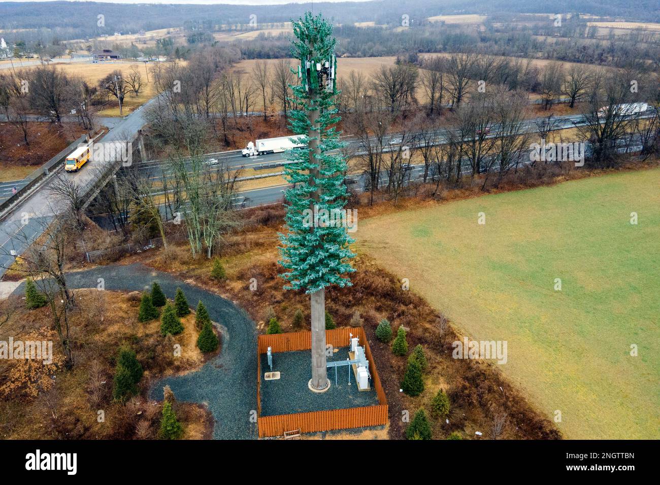 Peace Tree Amazon.com: Lenox 890573 Treasured Traditions Green Light-Up