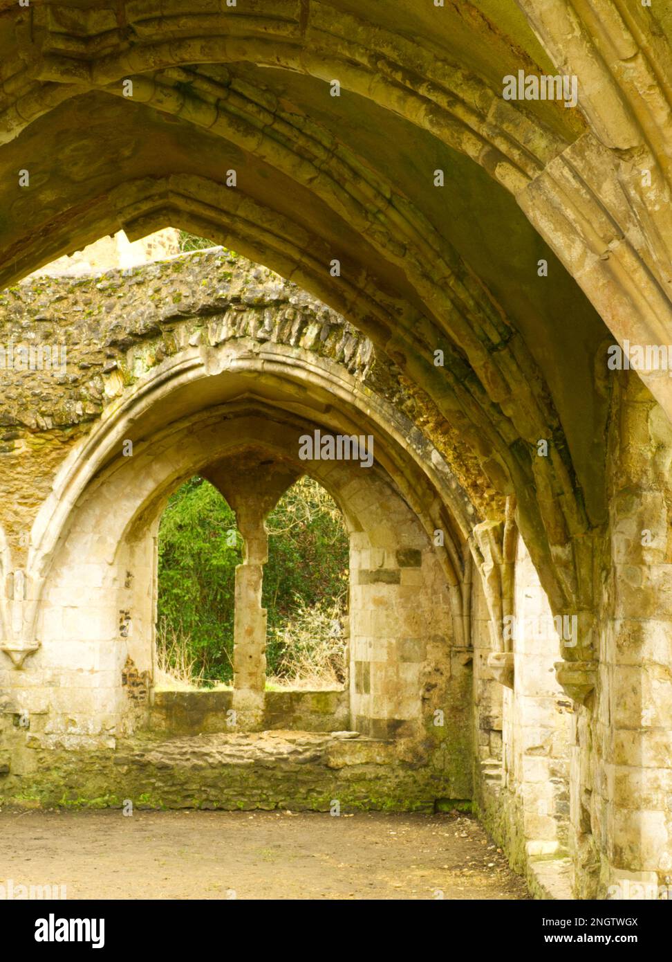 Waverley Abbey ruins, Farnham, Surrey Stock Photo