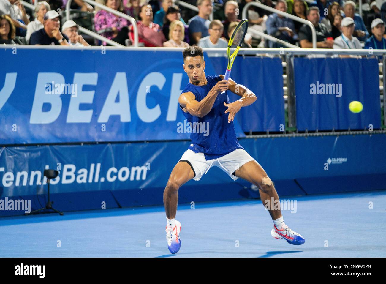 February, 17 Delray Beach Michael Mmoh(USA) loses in the Quarter