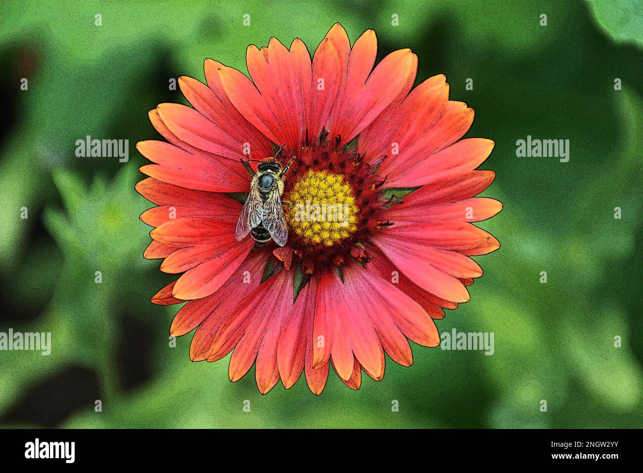 Bee on the flower in the summer garden illustration. Pollination concept. Stock Photo