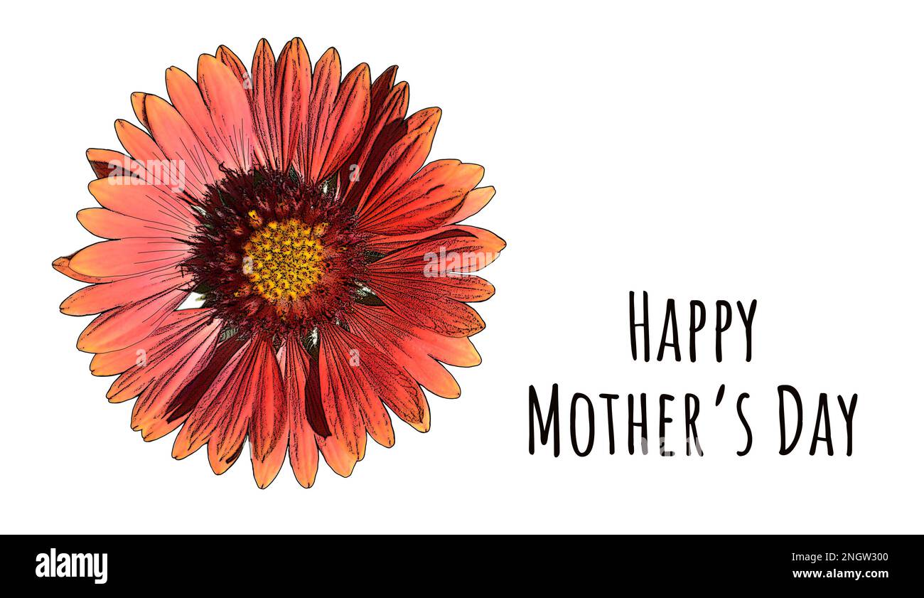 Happy Mothers Day card with red flower illustration isolated on white background Stock Photo