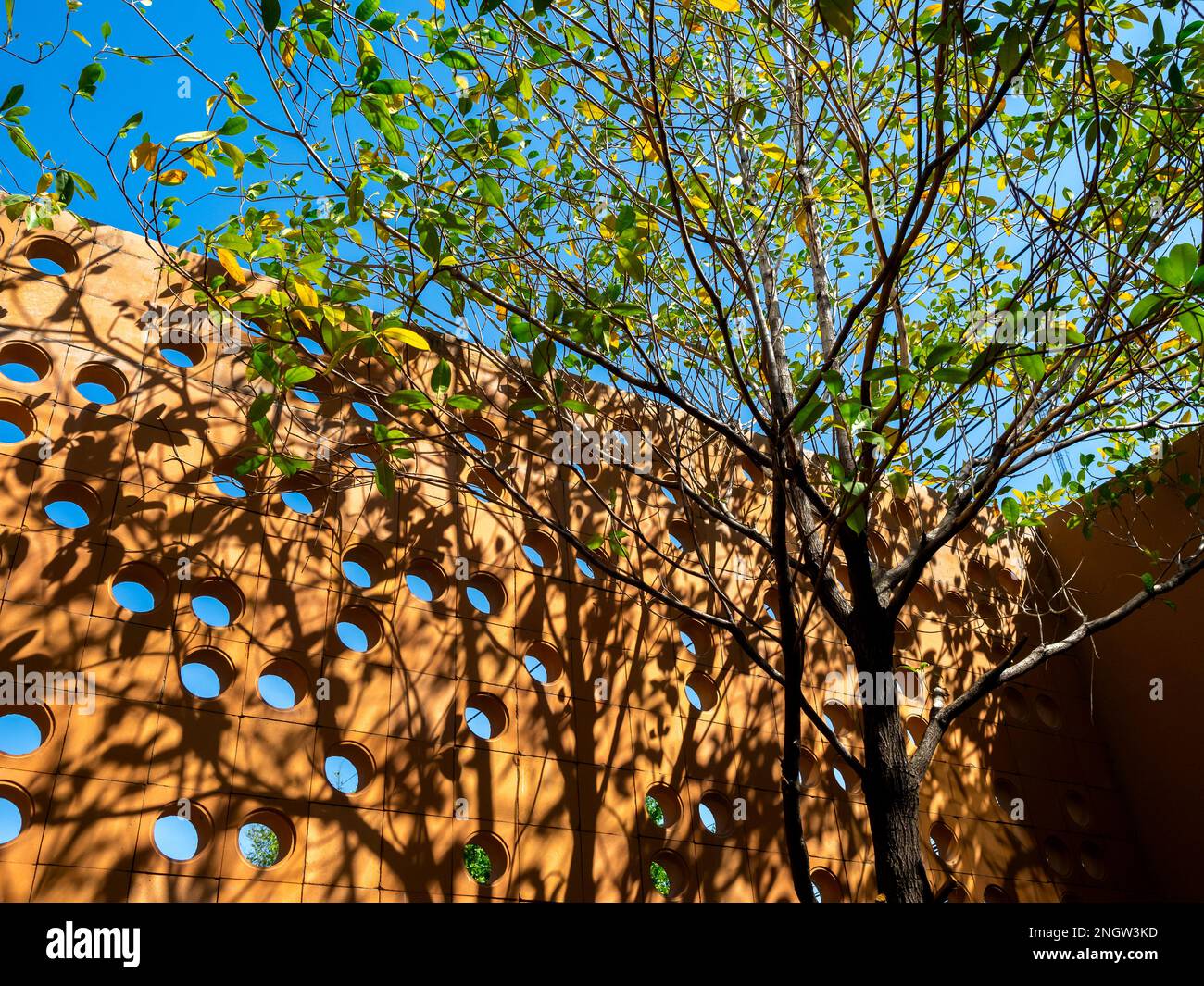 Terracotta ventilation circular brick block wall with circle space pattern wall exterior with tree shade on blue sky background. Concrete cement air o Stock Photo