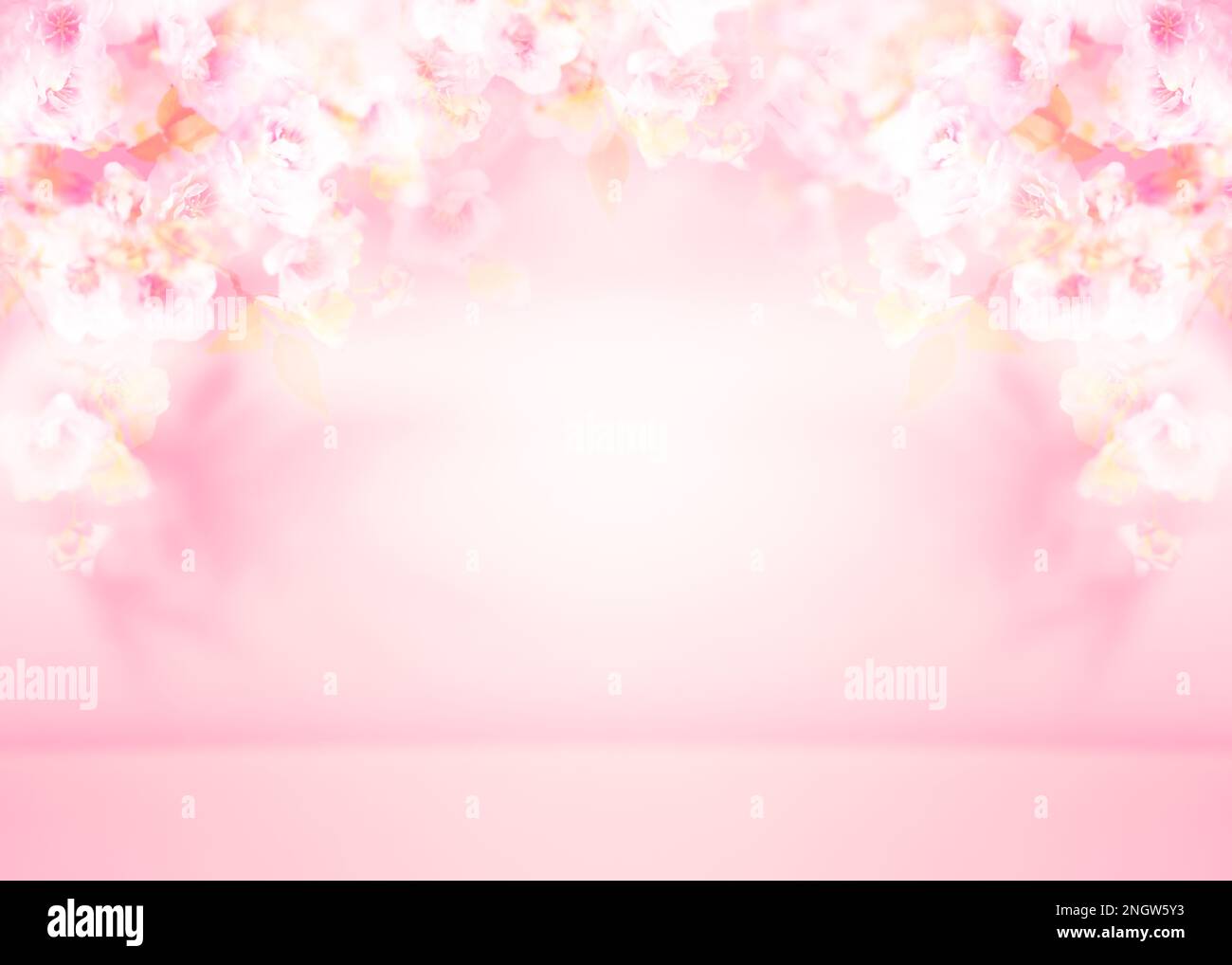 Spring summer blurred light pink background with shadow of the tree ...