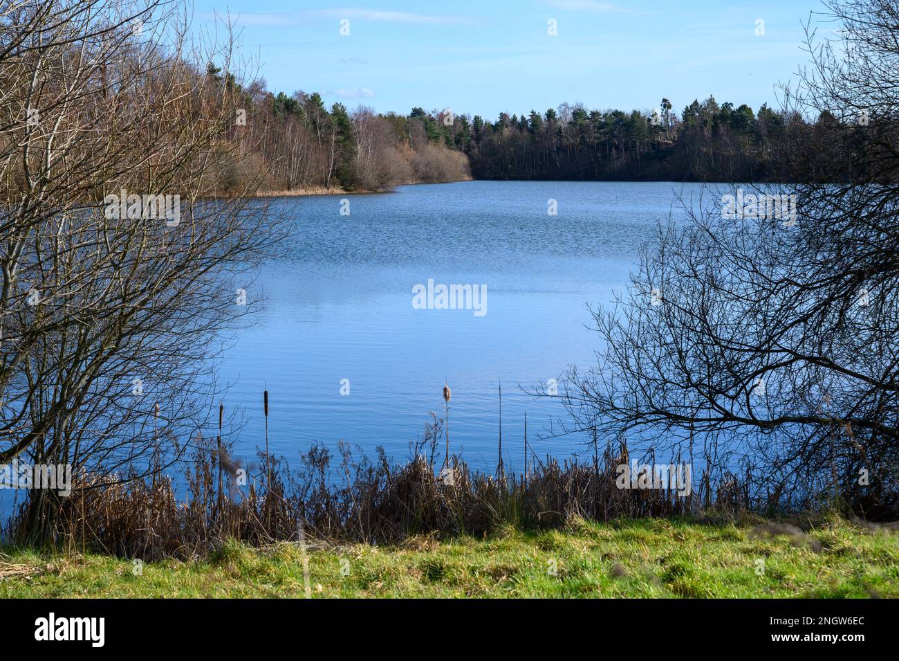 View out over a lake or large pool surrounded by trees in a rural setting under a blue sky. Stock Photo