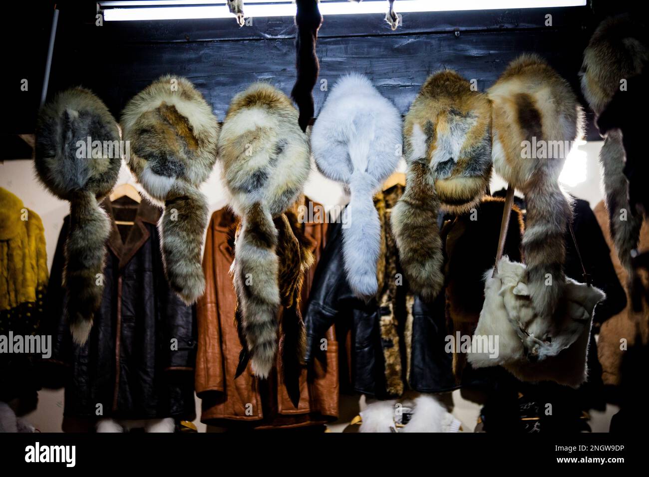 real fur clothing made from animals in china market Stock Photo