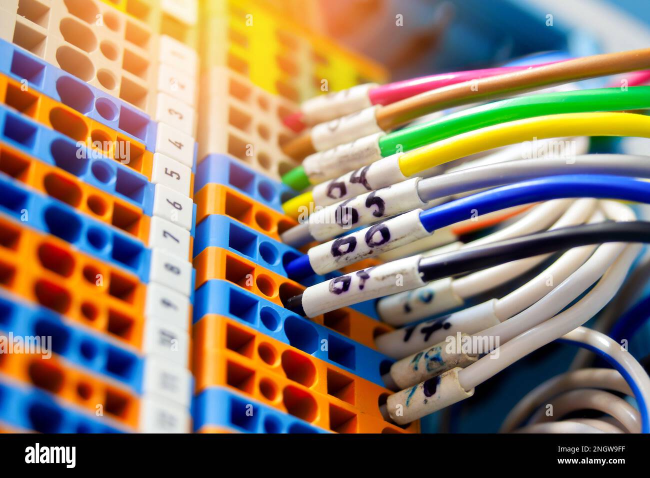 Network cables connected to switch. Many multicolored wires connected