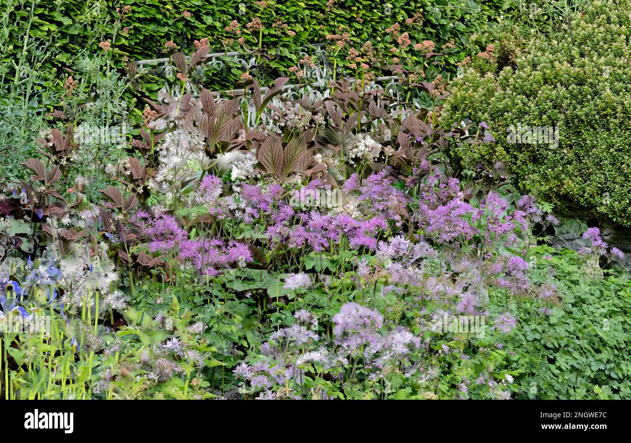 Garden design herbaceous border hi-res stock photography and images - Alamy