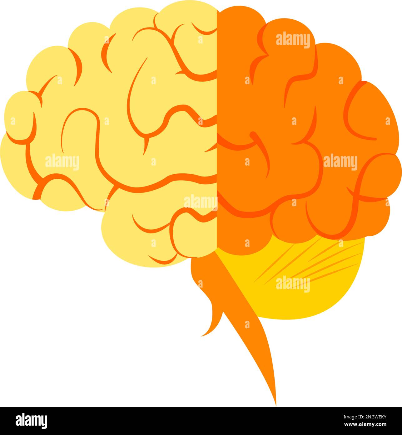 Human brain. Isolated vector. Concept of the human brain Stock Vector ...