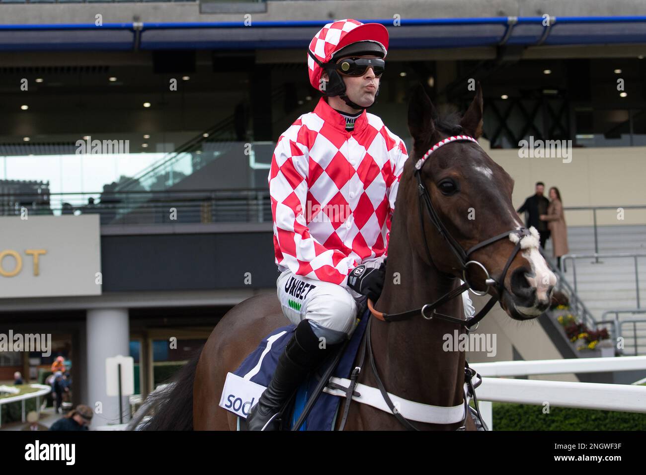 Bold endeavour racecourse hi-res stock photography and images - Alamy