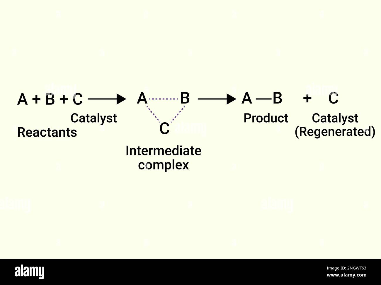 Chemical Reactions of catalyst and product Stock Vector Image & Art Alamy