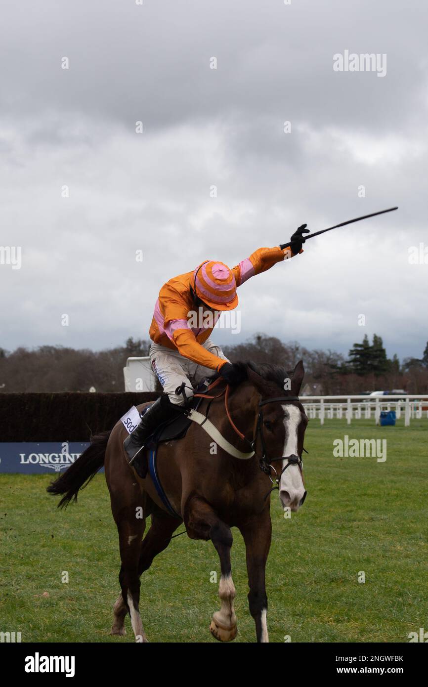 Races jockey whip hires stock photography and images Alamy
