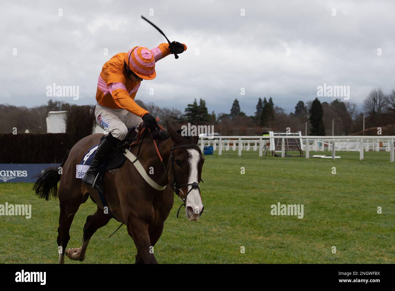 New whip rules hires stock photography and images Alamy