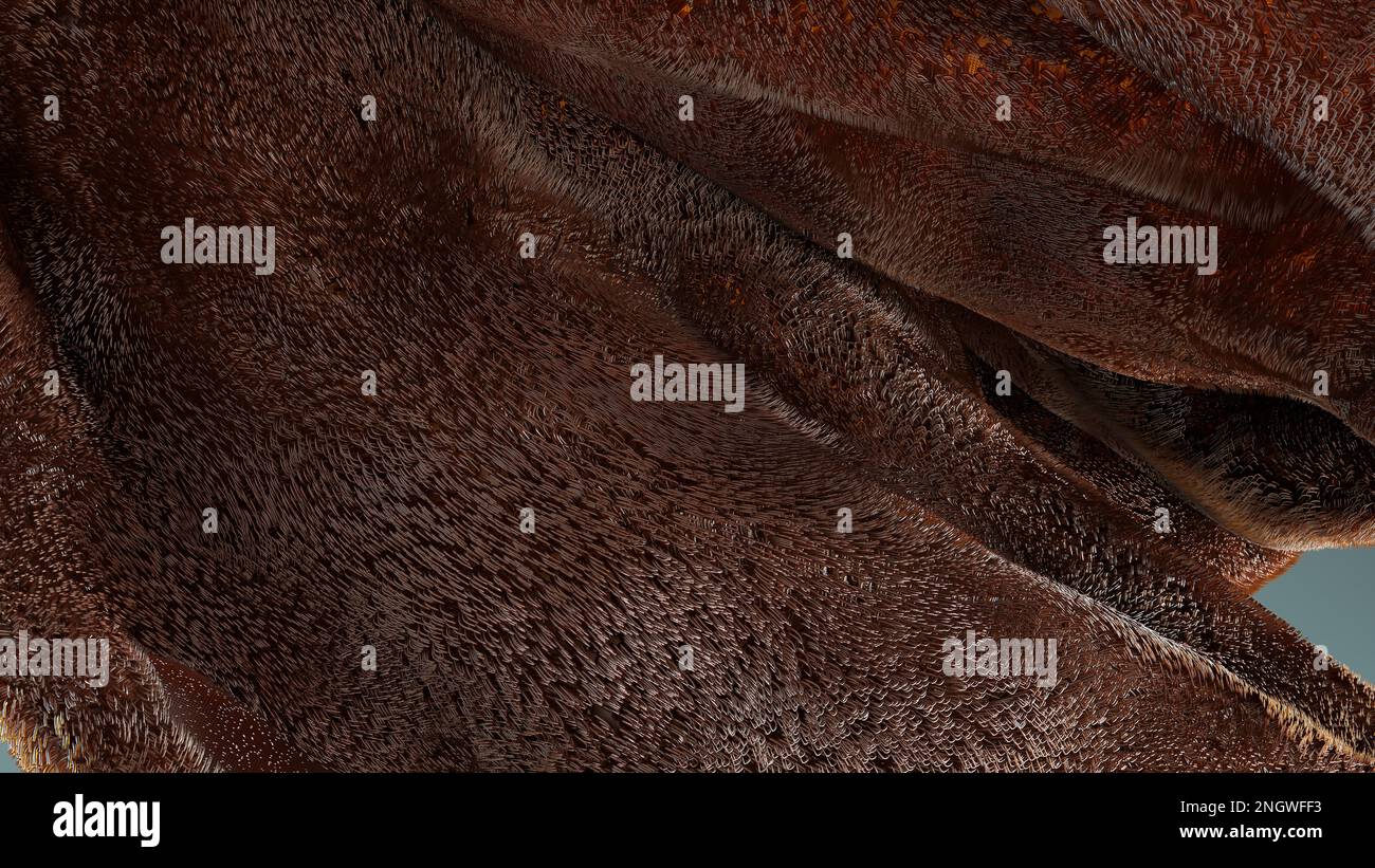 longhaired fur pompon, ball of hair, cotton wool, fluffy ball